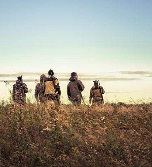 Hunters silhouettes against sky going through rural field towards horizon during hunting